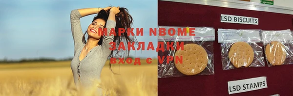 PSILOCYBIN Корсаков